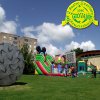 festaprimav2012_5